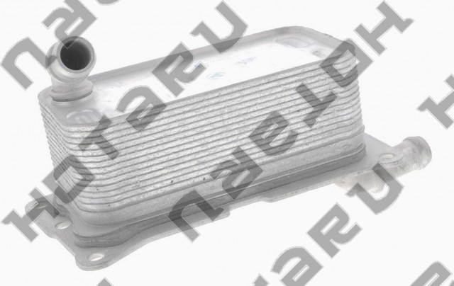 HOC-1603 HOTARU OEM A2465010101