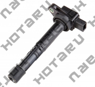 HIGS-0309