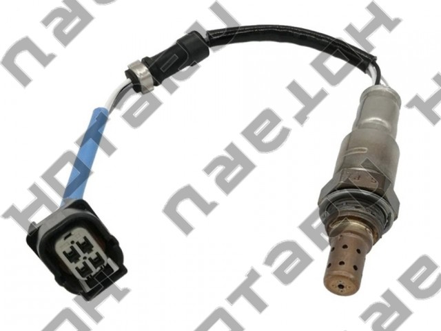 HOS-0302
