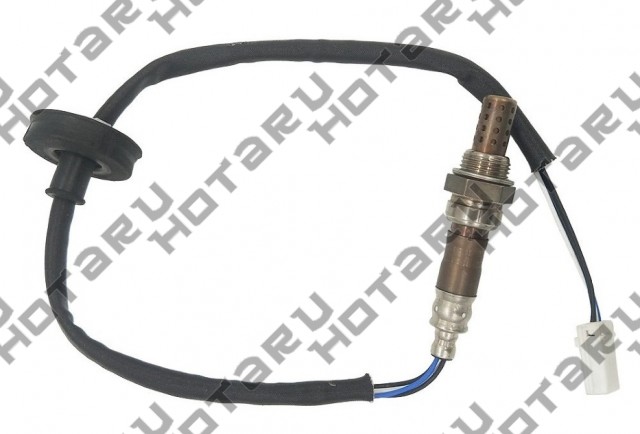 HOS-0405