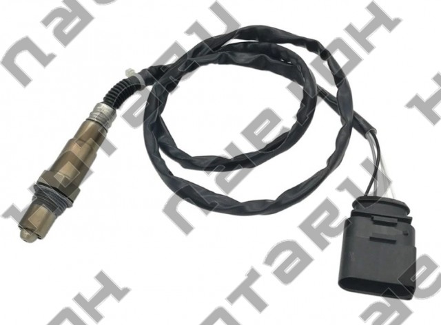 HOS-2304